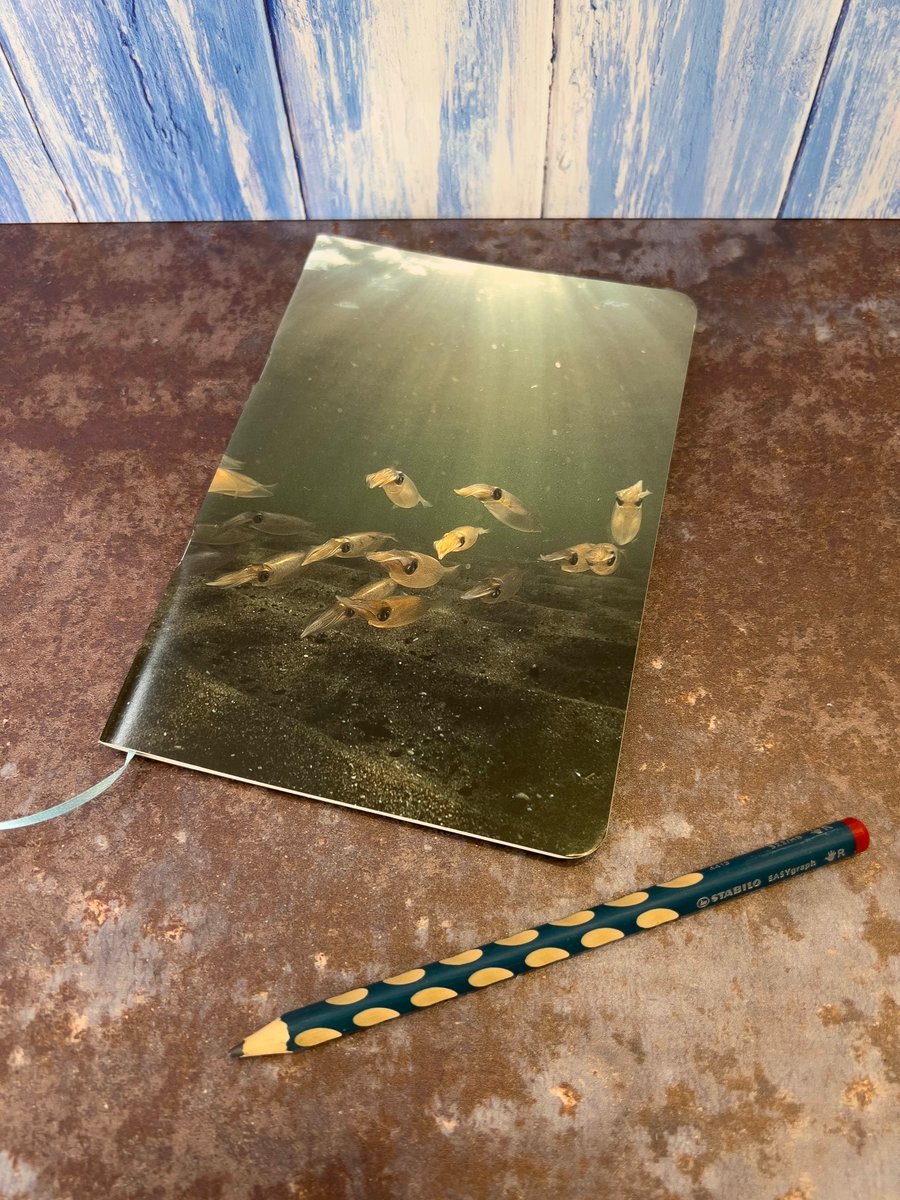 Notebook, Marine themed, A5 (ish), made from up-cycled and recycled materials.