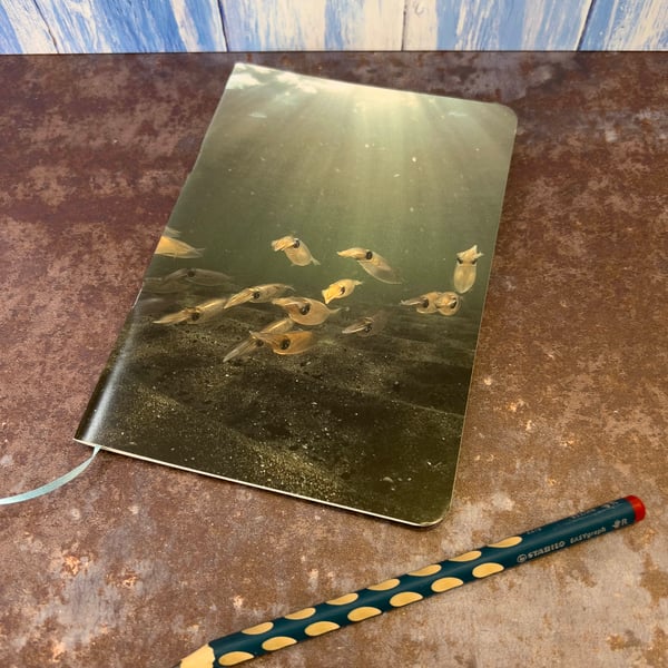 Notebook, Marine themed, A5 (ish), made from up-cycled and recycled materials.