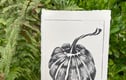 A6 Prints