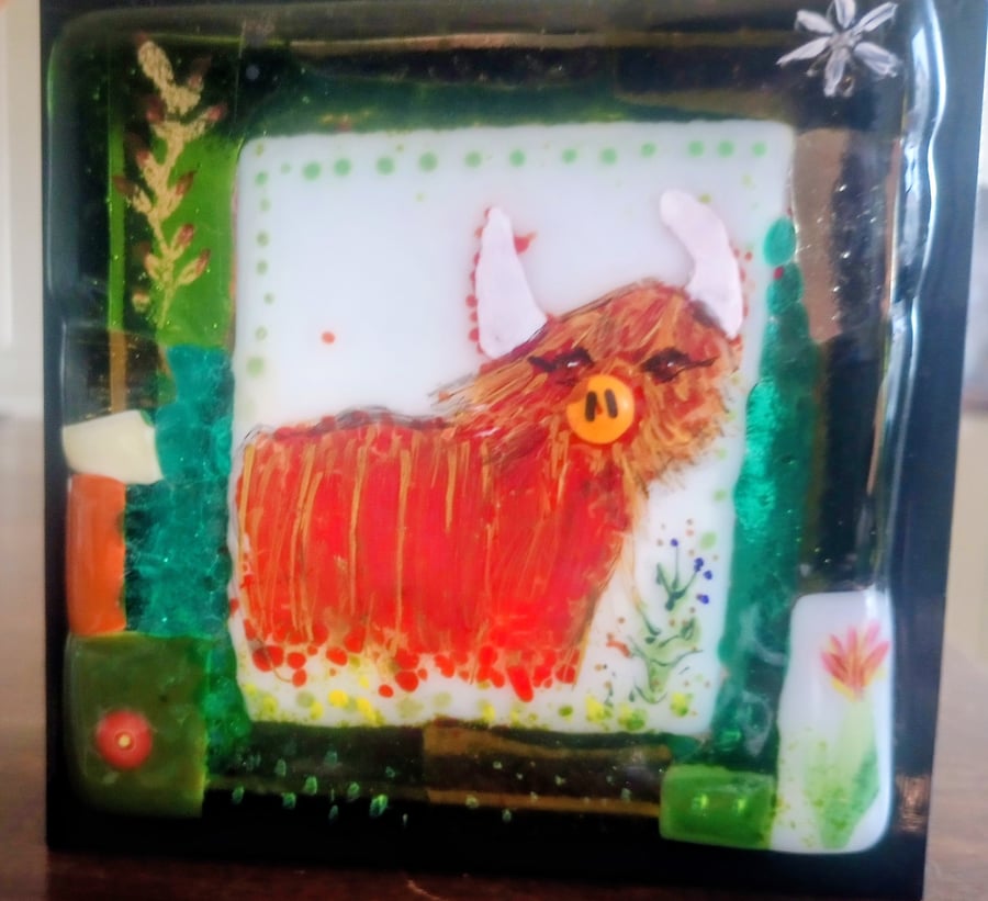 Fused Glass Coo