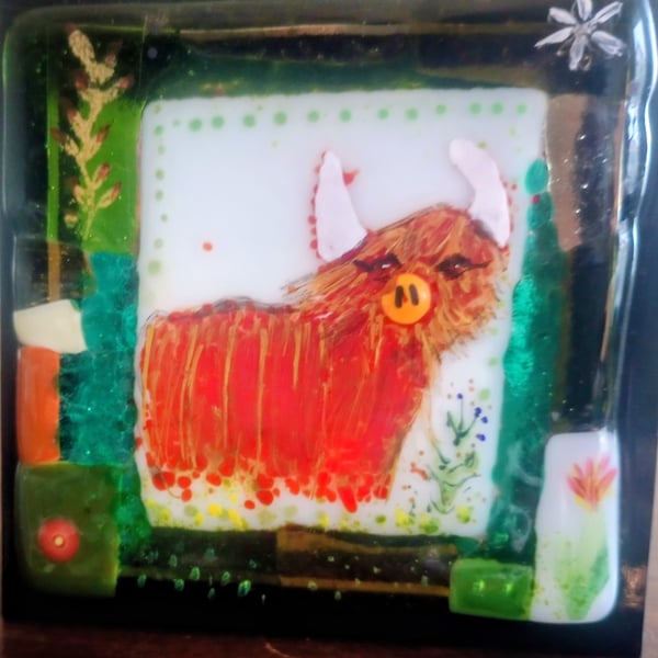 Fused Glass Coo