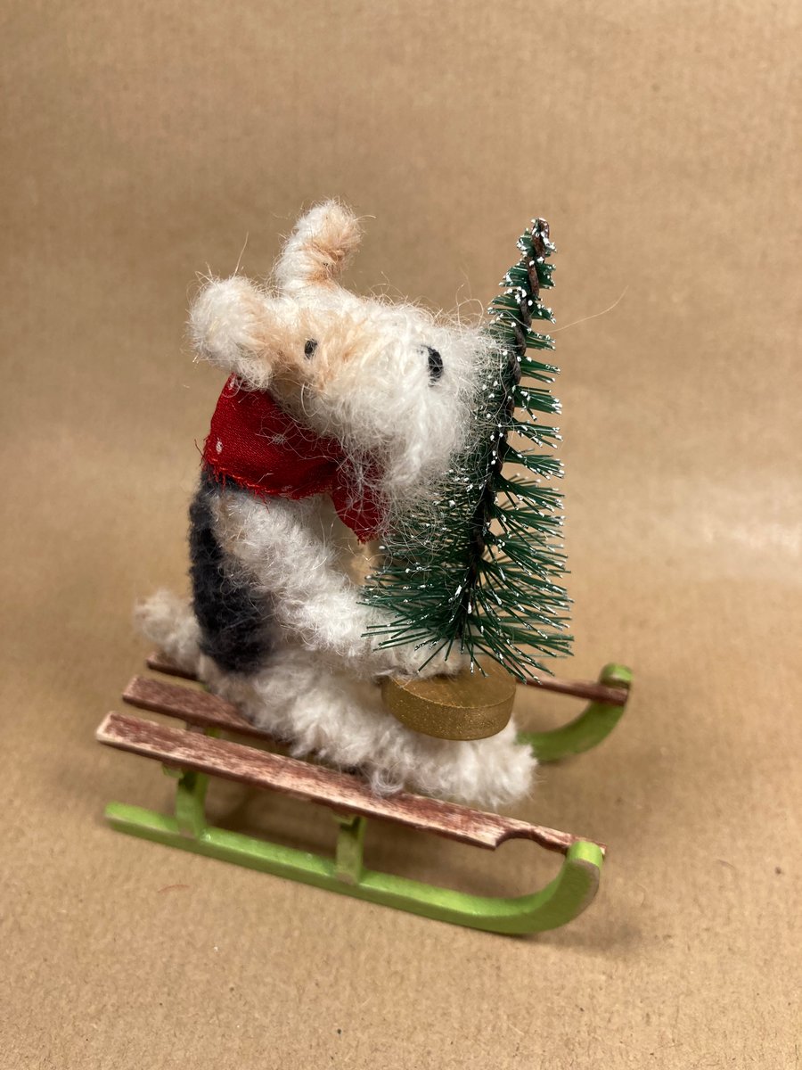 Felix the Fox Terrier