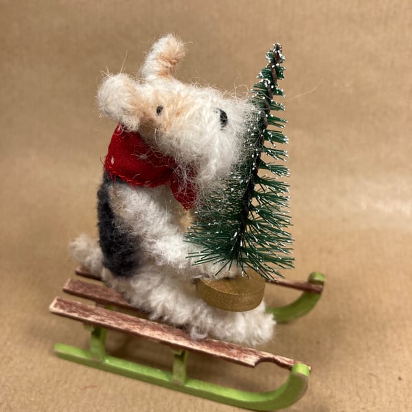 Felix the Fox Terrier