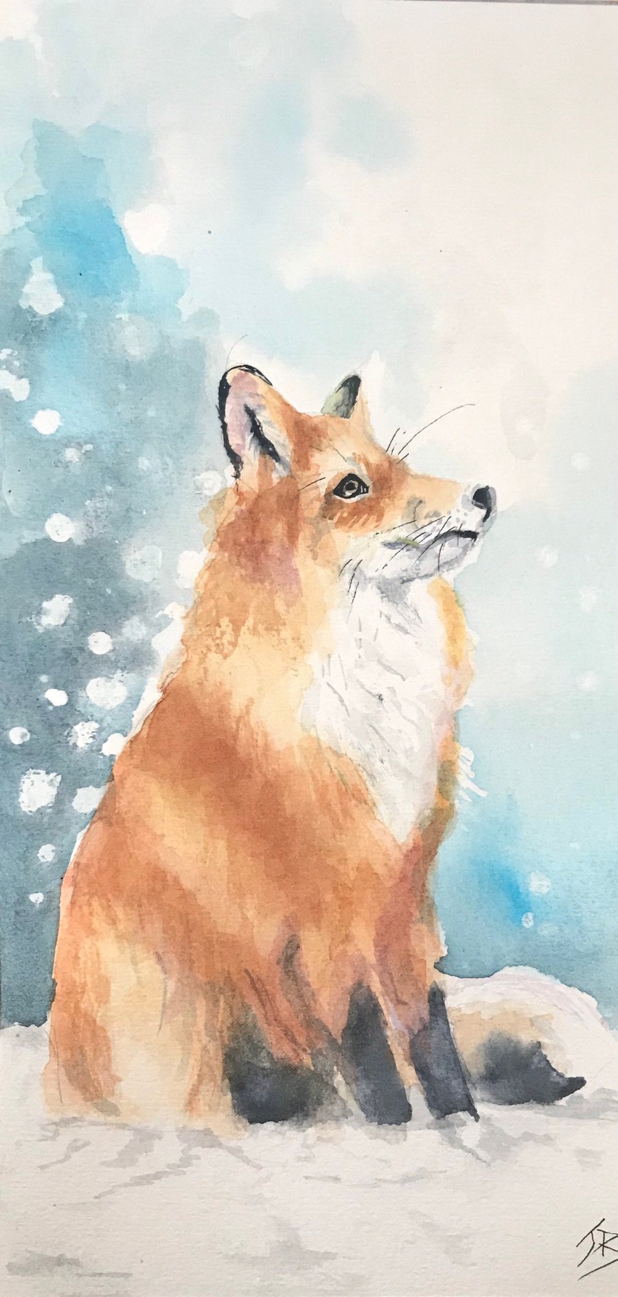 Giclee print of  ‘Snow Gazing Fox’ painting by British artist