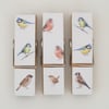  Garden Bird large Peg Fridge Magnets decoupaged set of 3