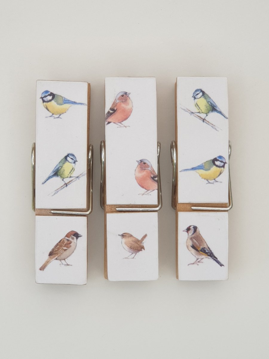 Garden birds Fridge Magnets, magnetic pegs 