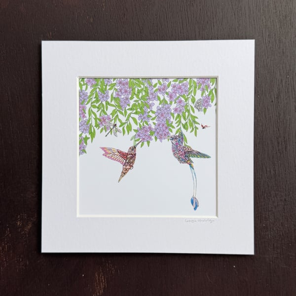 'Botanical Hummingbirds' 8" x 8" Mounted Print