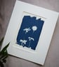 cyanotype print: "Anemone Blanda Blue Two". Original, mounted ready to frame.