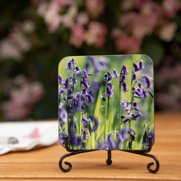Bluebells Wooden Coaster - Original Flower Photo Gifts - Nature Coaster - Countr