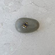 Original Art Bumble bee Painted Stone Grey Stone 'bumble bee'