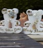 Resin Bear Shape Birth Stats KEEPSAKE - add Baby Scan or Photo