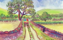 Original Watercolour Paintings