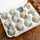 Clutch of four ceramic songbird eggs, lifesized speckled mini bird eggs