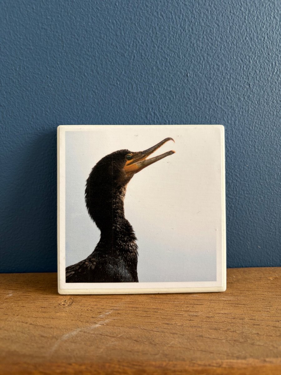 Cormorant Ceramic Coaster
