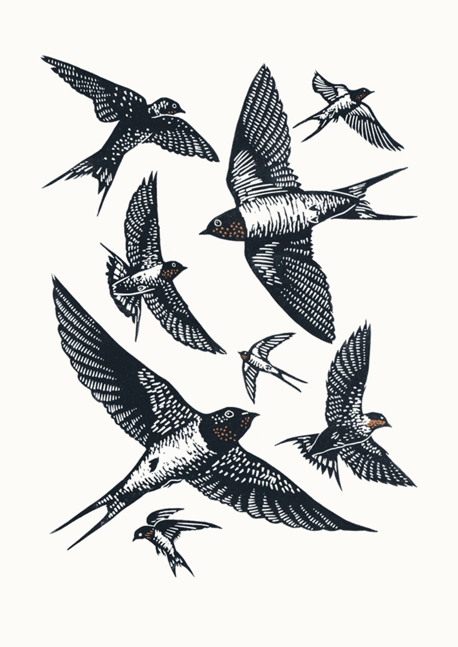 Swallows A3 poster-print