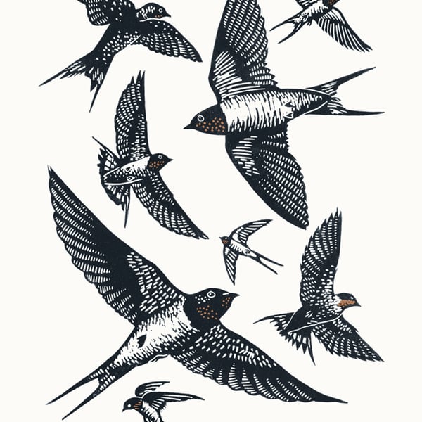 Swallows A3 poster-print