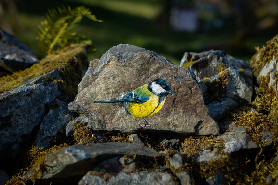 Great Tit (001)