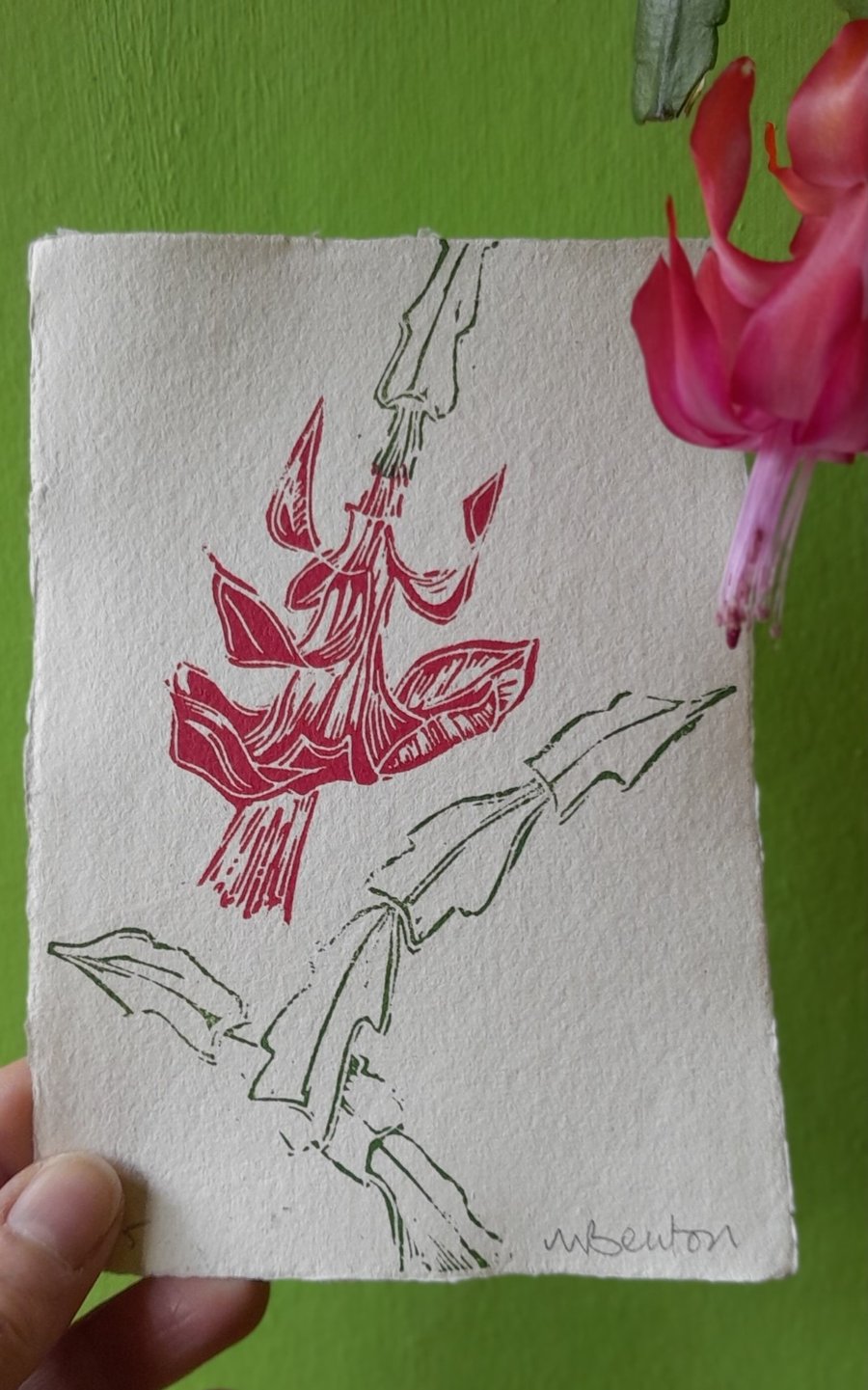 'Christmas Cactus' Lino Print on Off-White Paper