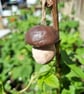 Clay Mushroom Charm