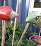 Cane Tops - Image 4