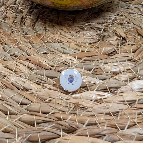 St. Barts Flag Map pin - St Barth lemy Flag Map Pin For Wood Map