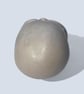 White Skull - Macabre Halloween Decoration Suitable for Painting - Image 5
