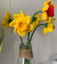 Crochet Daffodil flowers, forever flowers, spring flowers