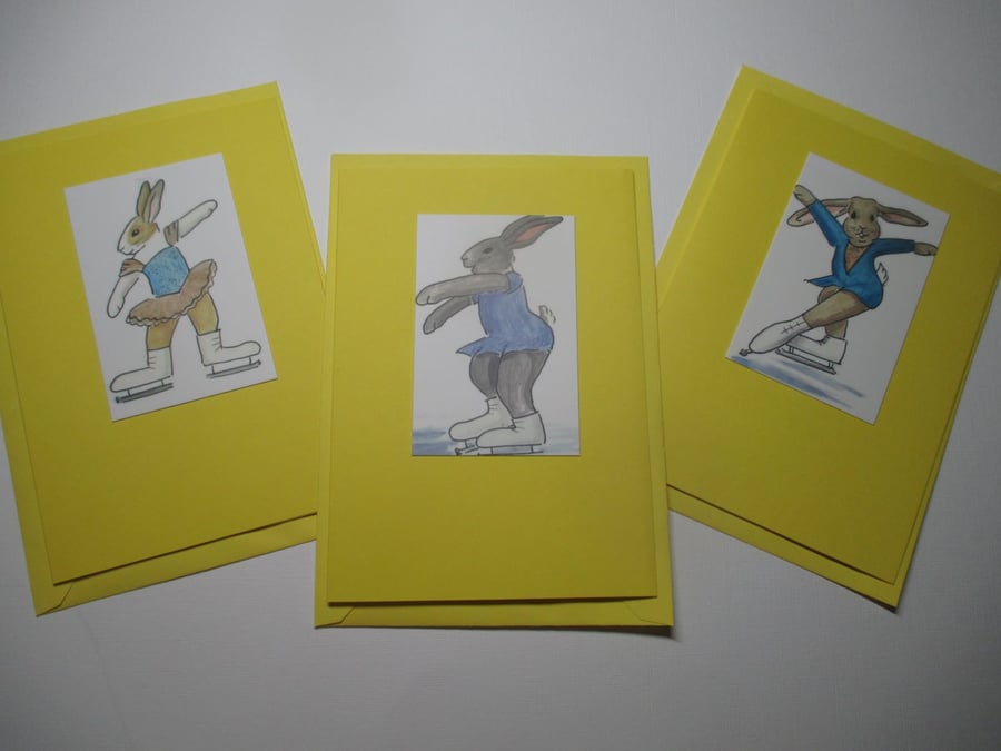 Bunny Rabbit Blank Greetings Card 3 Notelet Ice Skating Beautiful Bundle