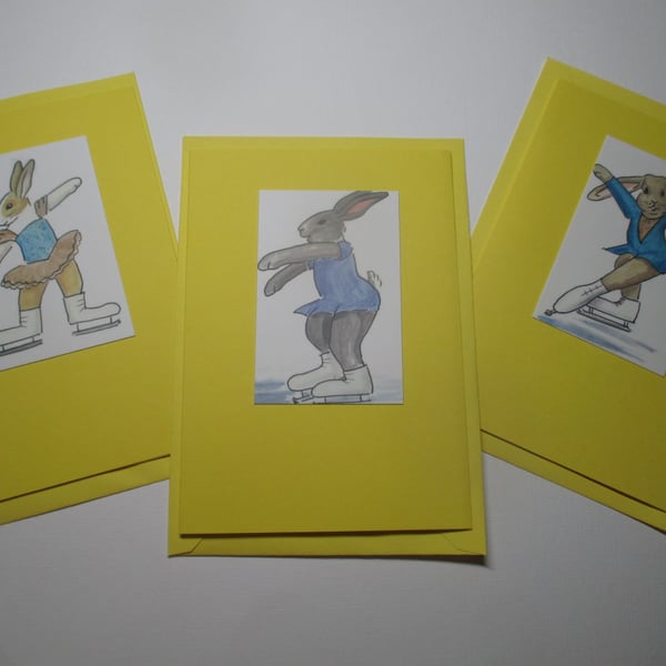 Bunny Rabbit Blank Greetings Card 3 Notelet Ice Skating Beautiful Bundle