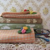 Velvet lined Glasses Case