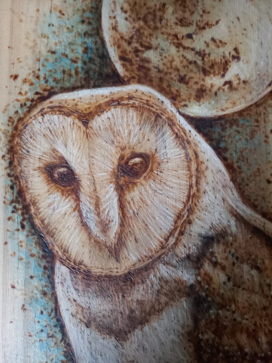 Pyrography large & long Barn Owl wooden board hanging decoration