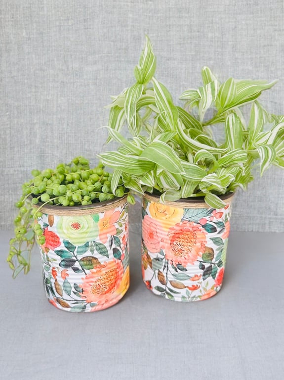 Apricot & Mint Floral Plant Pot Set of 2 - 10cm