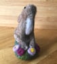 Baby Hare - Image 4