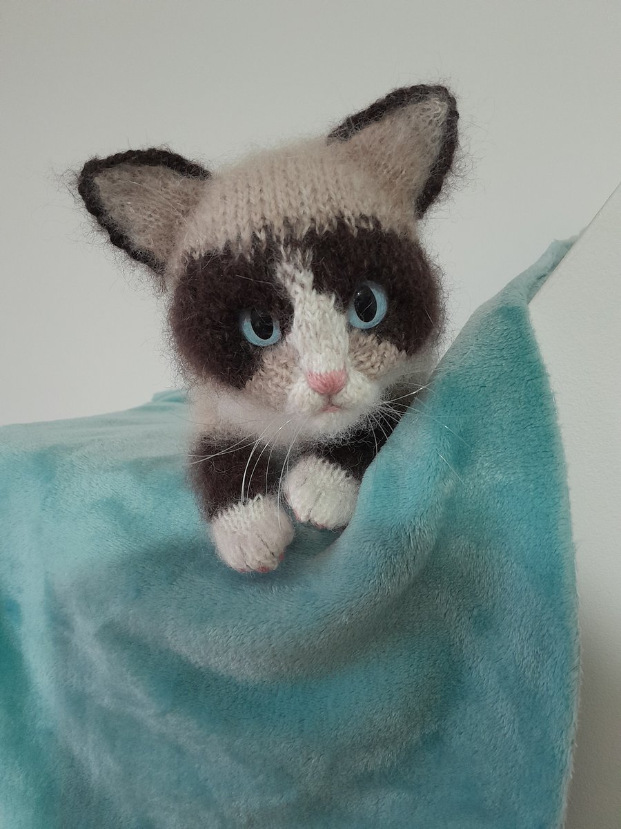 Ragdoll Kitten, Dotpebblesknits Design, Snowshoe Kitten 
