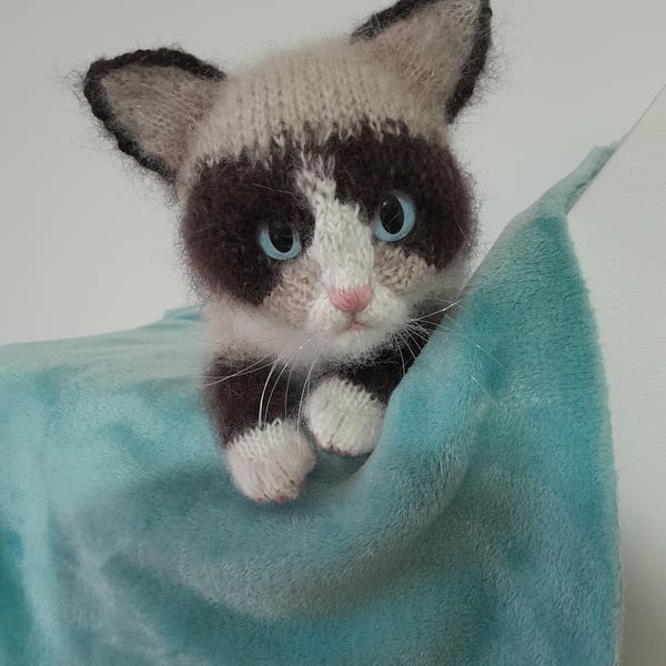 Ragdoll Kitten, Dotpebblesknits Design, Snowshoe Kitten 