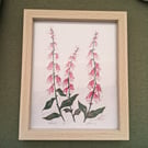 'Foxgloves' An original linoprint of foxgloves in three colours.