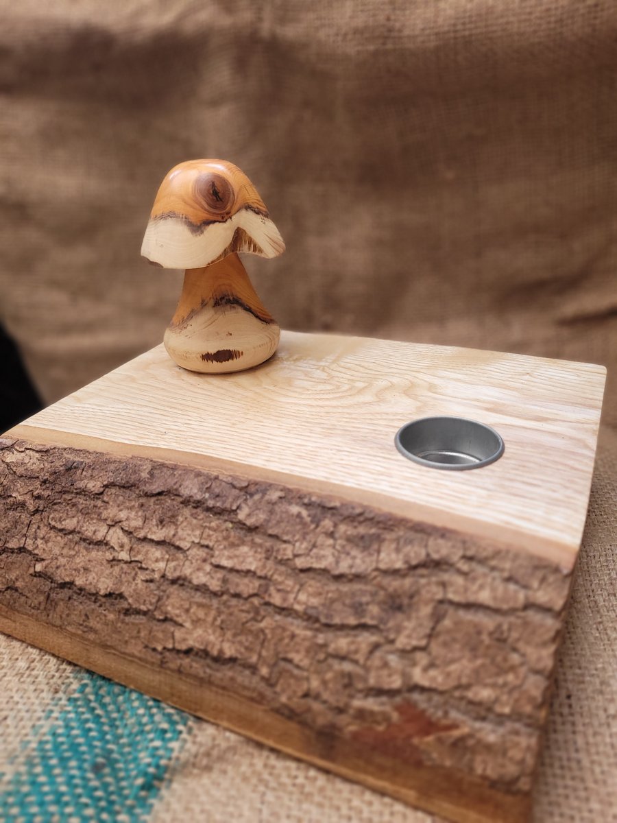 Toadstool teal light holder on elm