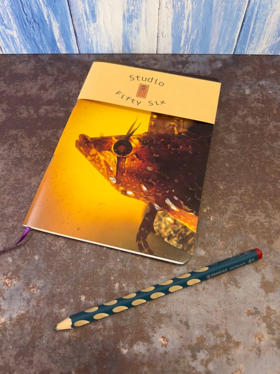 Notebook, Marine themed, A5 (ish), made from up-cycled and recycled materials.