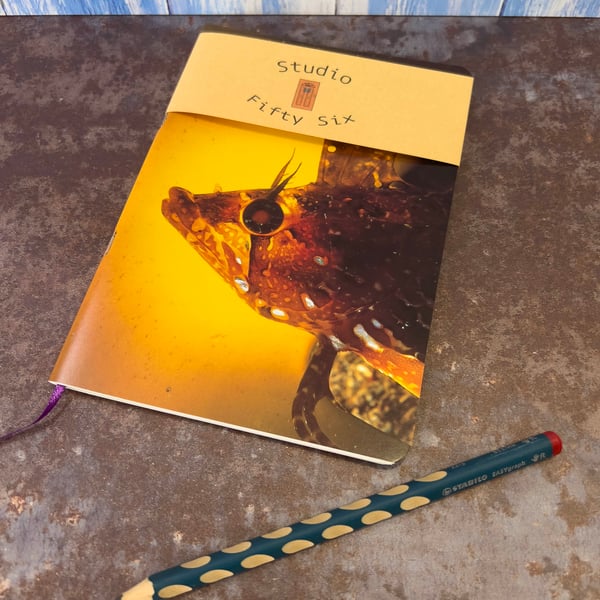 Notebook, Marine themed, A5 (ish), made from up-cycled and recycled materials.