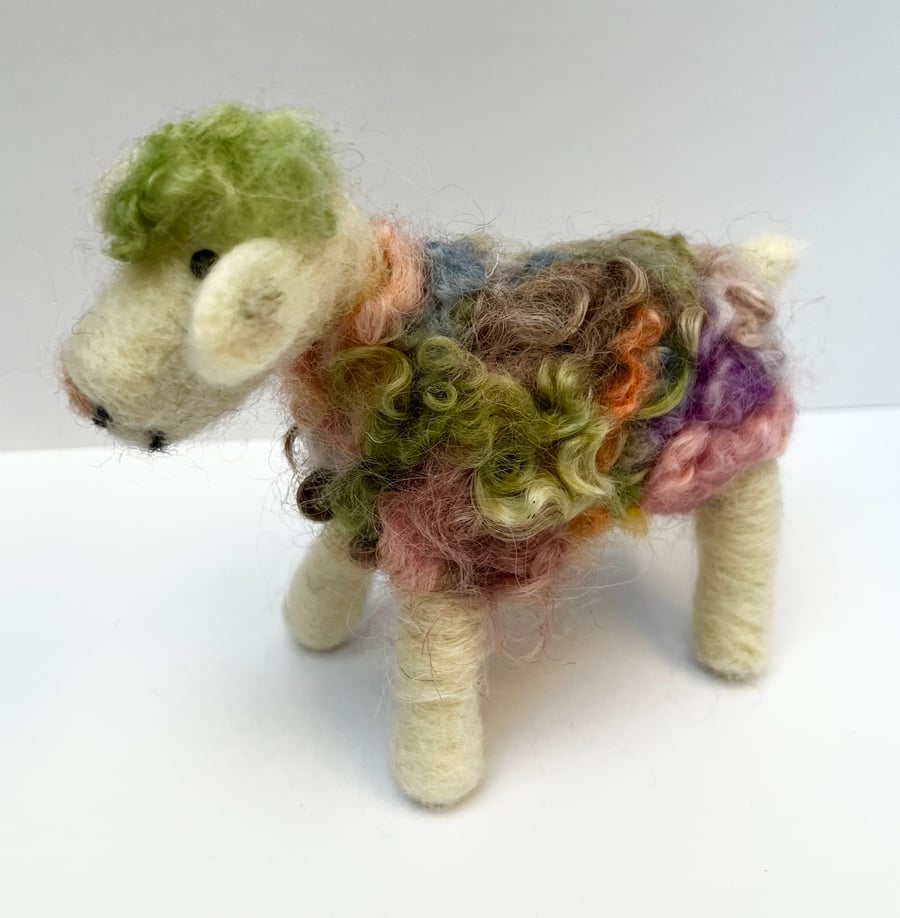 Ronald the rainbow sheep