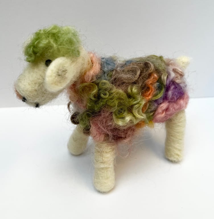 Ronald the rainbow sheep