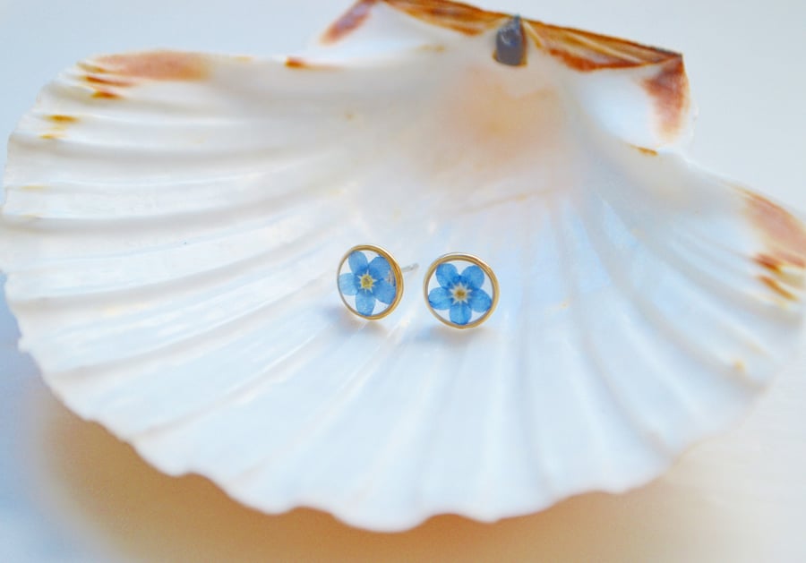 Forget me not earrings, gold filled earrings, botanical jewellery