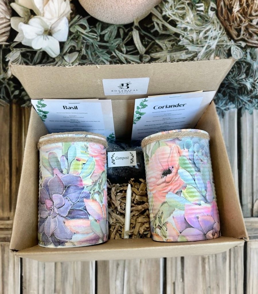 Pastel succulent grow your own herb garden gift set