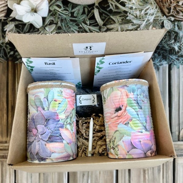 Pastel succulent grow your own herb garden gift set
