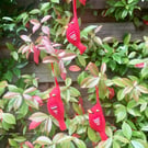  Felt red bird Christmas  decoration folksy Christmas 2026