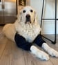 Dog Leg Protector, Cushioned leg Support for Callus, Hygroma Relief.