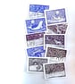 Zebra Stars Card - READY TO SHIP - Image 6