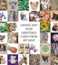 Greetings Cards - Blank - Set of 4 Any Designs