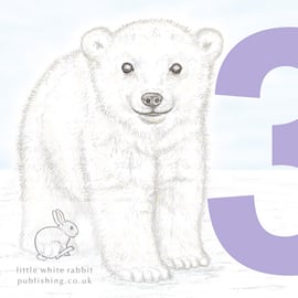 Polar Bear Cub - 3 Card