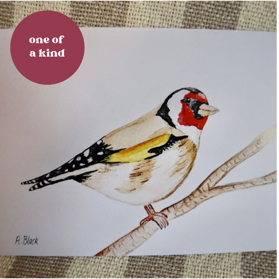 Goldfinch Paintings - Prints